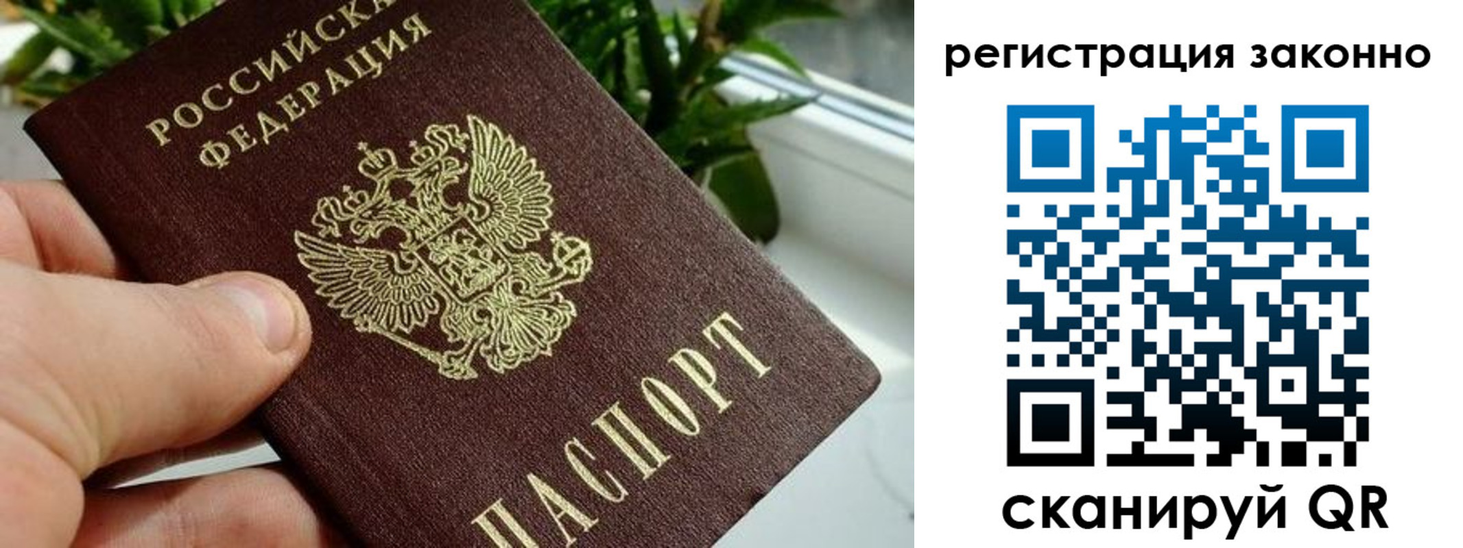 прописка гарантия в Новороссийске